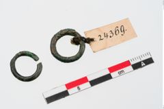 Foto von Bronzering (NHMW-PRAE-024369)